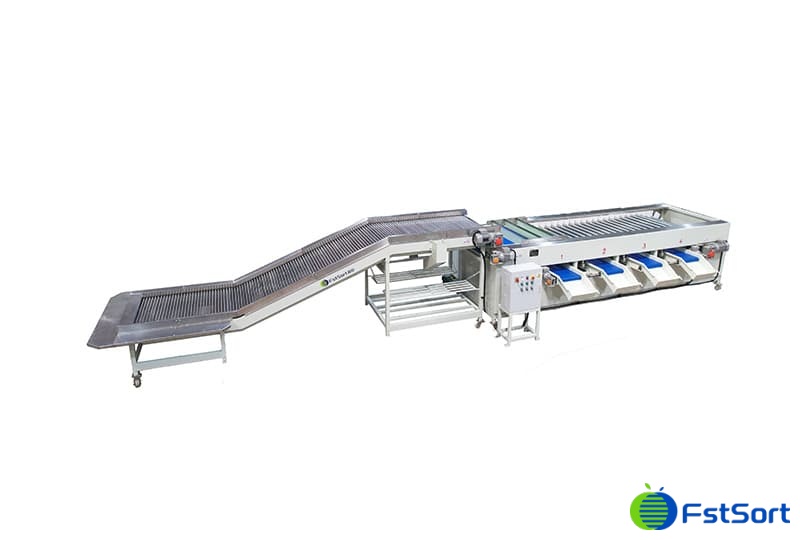 lobster size1.jpg lobster size1.jpg